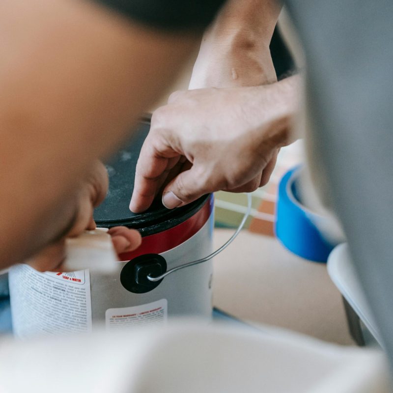 pexels-blue-bird-7217984